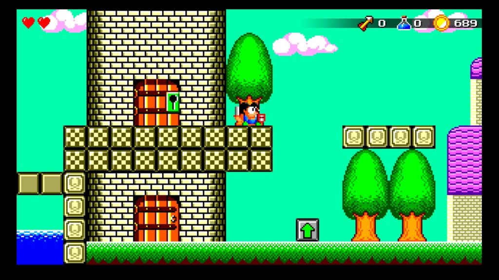 Wonder Boy Wonder Boy the Dragon’s Trap