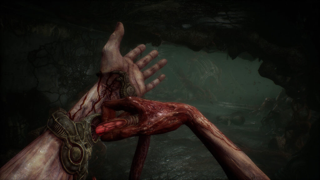 Scorn Scorn