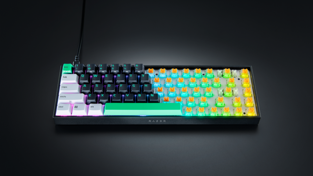 Reclusa X Mini 65%